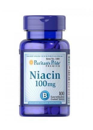 Niacin (100 mg) 100 Tablets