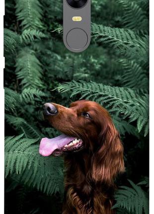 Чехол itsPrint Собака в зелени для Xiaomi Redmi 5 Plus / Redmi...