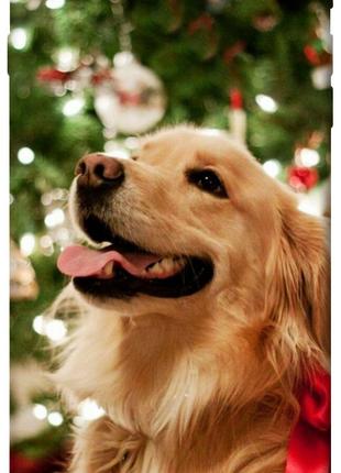 Чехол itsPrint New year dog для Apple iPhone 7 plus / 8 plus (...