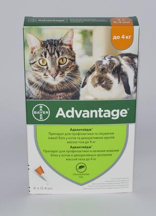 Bayer Advantage 40 до 4 кг - 4 піпетки (1 упаковка) для котів ...