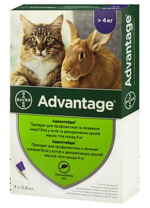 Капли от блох для котов и декоративных кроликов Bayer Advantag...