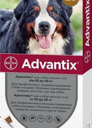 Bayer Адвантикс (Advantix) ХХЛ 40-60 кг ДЛЯ СОБАК, 6 мл (УПАКО...