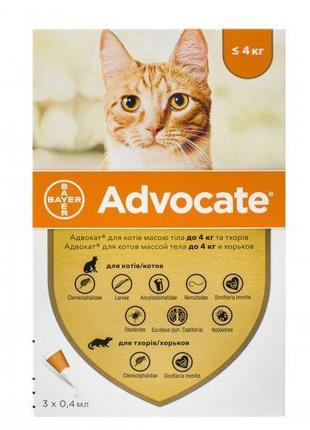 Краплі Bayer Advocate для котів до 4 кг (від бліх, вошей, влас...