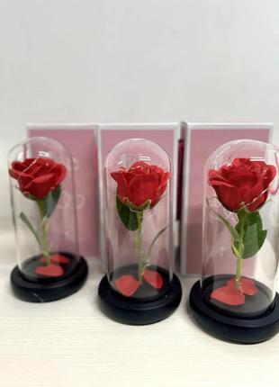 Троянда в колбі в подарунковій упаковці