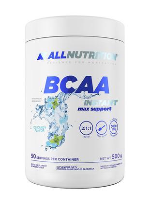 BCAA Instant Max Support (500 g, blueberry) 18+