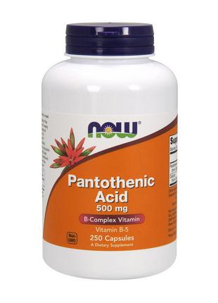 Pantothenic Acid 500 mg (250 caps) 18+