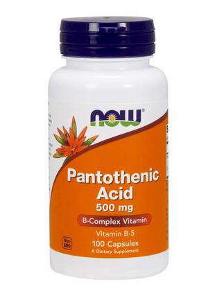 Pantothenice Acid 500 mg (100 caps) 18+