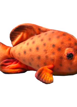 М'яка іграшка Hansa Тропічна риба 30 см (4806021950777)