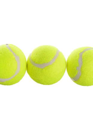 Тенісні м'ячі PROFI 3 штуки (MS 0234)