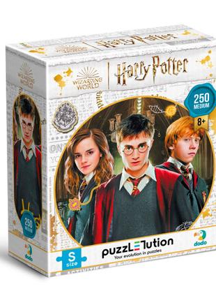 Пазл Dodo Medium-S Harry Potter Гаррі та друзі 250 елементів (...