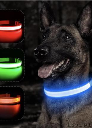 Світлодіодний нашийник для собак
