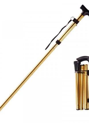 Сложный тростник телескопический с Т-образной ручкой золота Ко...