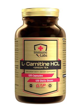 Жиросжигатель Immune Labs L-Carnitine HCL + Green Tea, 120 капсул