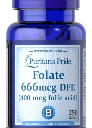 Folic Acid 400 mcg 250tabl