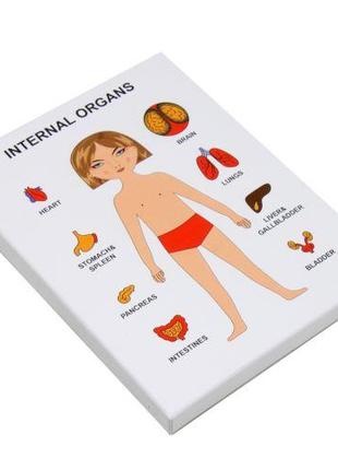 Пазли навчальні "Internal Organs: Дівчинка"