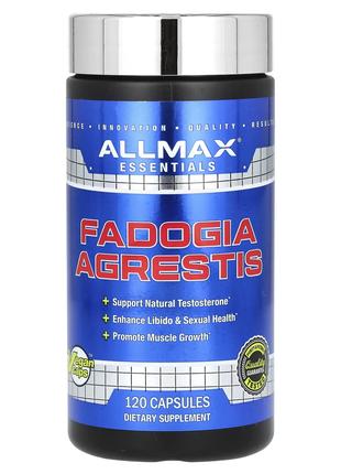 Essentials, Fadogia Agrestis , 120 Capsules