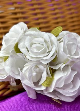 Роза двухцветная, букет 6 цветков - белый