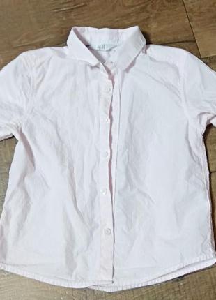 Рубашка короткий рукав розовая полоска 3-4года 104-110см
