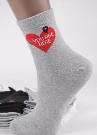 Носки шкарпетки жіночі женские с рисунком хлопок

36-40р для д...