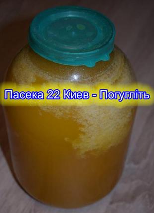 Продам мед соняшниковий подсолнух 3л