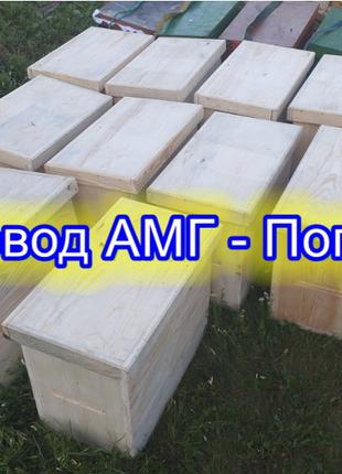 Продам пчелопакеты кагарлык киевская пчелы бджоли пакеты