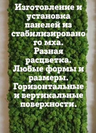 Панели, декор, предметы интерьера из стабилизированного мха