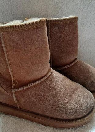 Фирмовые угги валенки ugg сапоги  ботинки