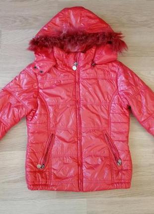Куртка зимняя, демисезон красная glo-story, р.146-152