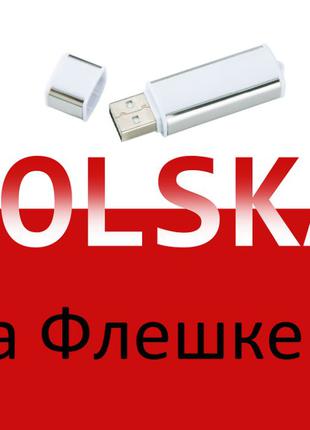 Польська мова аудіо Самовчитель на флешці 32гб Польська мова