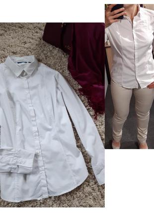 Базовая белая блуза/рубашка хлопковая офис,charles voegele,  p...