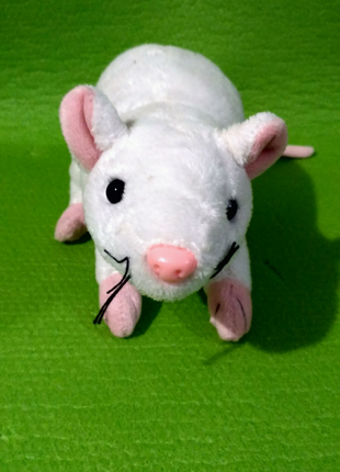 Крыса белая