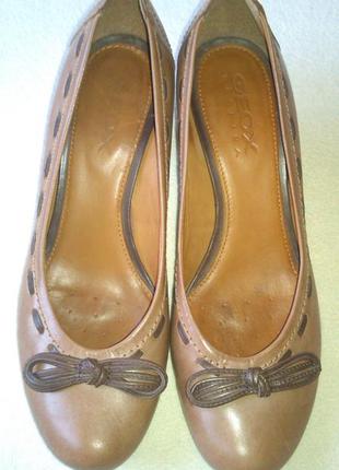 Жіночі шкіряні черевики geox р. 38