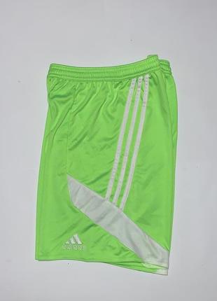 Шорты adidas