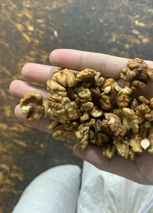 Продам волоський горіх очищений