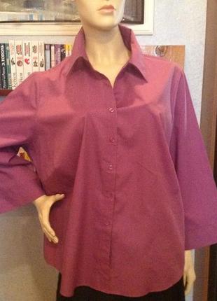 Прекрасная рубашка (блуза) бренда marks&spencer, р. 62-64