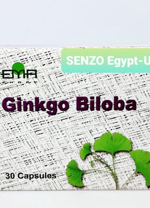 Ginkgo Biloba Египет