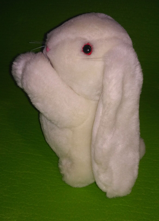 Заяц Кролик зайчик белый