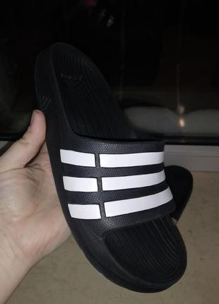 Шльопанці adidas