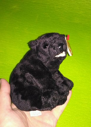 Медведь чёрный Cinders TY beanie babies collection 2000