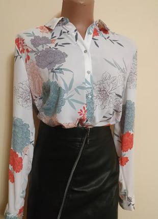 Блузка блуза жіноча шифон