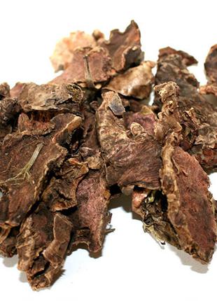 Радиола розовая (Золотой корень)