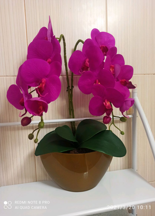 Искусственные орхидеи из латекса