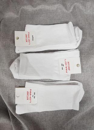 Шкарпетки високі білі від 40 до 44р монотонні ,білі шкарпетки ...