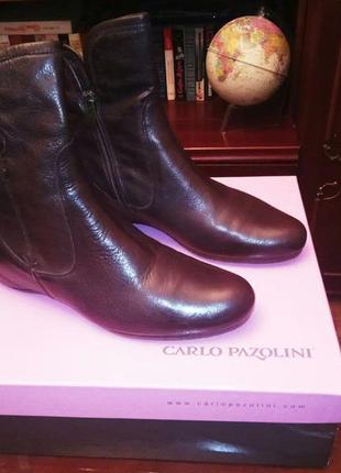 Винтажные кожаные ботинки итальяского бренда carlo pazolini