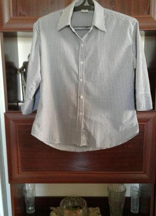 Коттоновая рубашка блуза в мелкую клетку жатка grenowille фран...