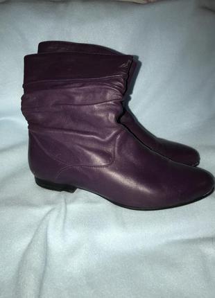 Фиолетовые кожаные сапоги ботинки размер 37,5-38