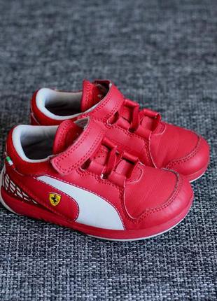 Puma ferrari future outlet cat m1