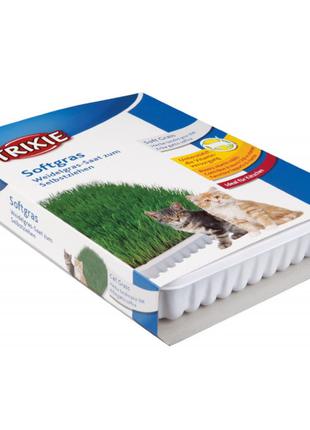 Комплект з вирощування трави для котів Soft Grass 100г