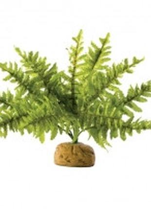 Hagen Exo Terra Rainforest Plant Boston Fern Small искусственн...