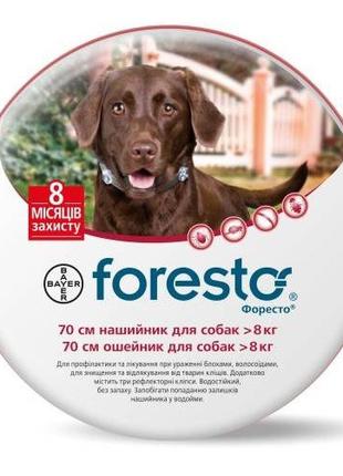 Bayer foresto инсекто-акарицидный ошейник Форесто для лечения ...